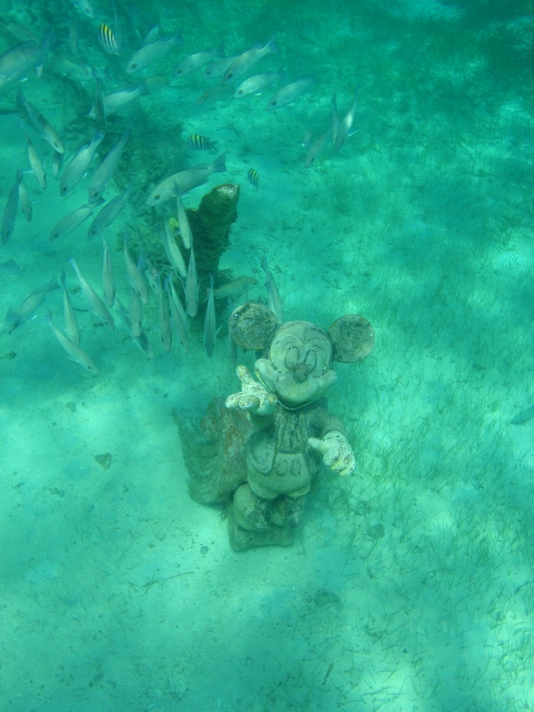 sm_PA307412.JPG