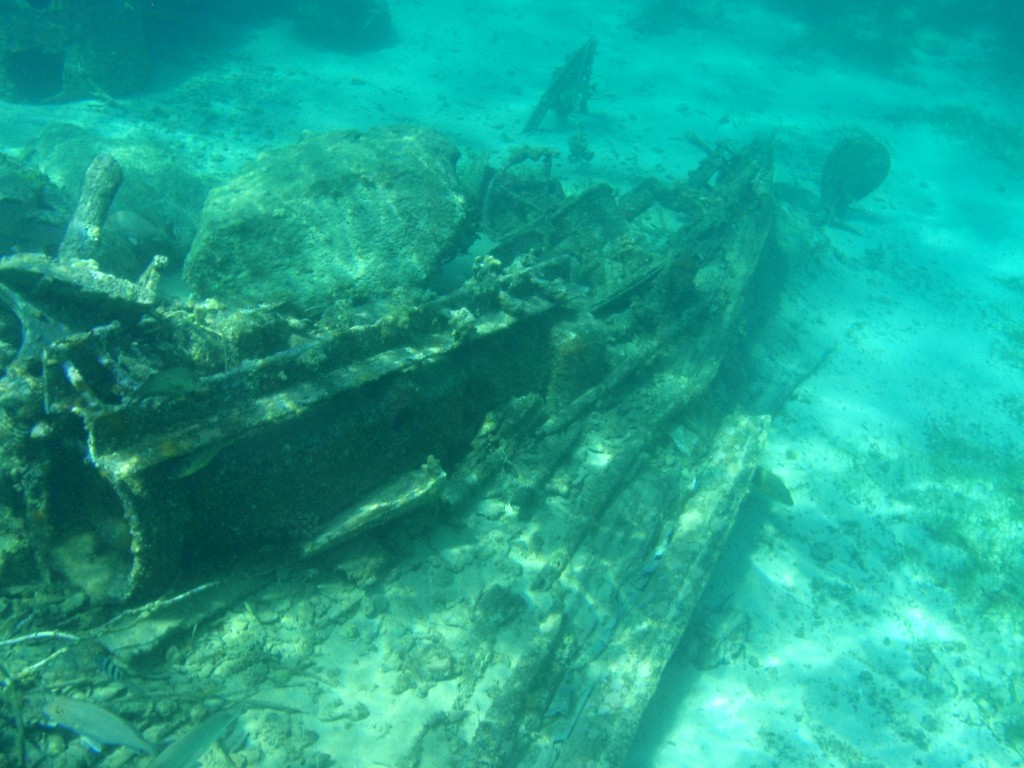 sm_PA307421.JPG