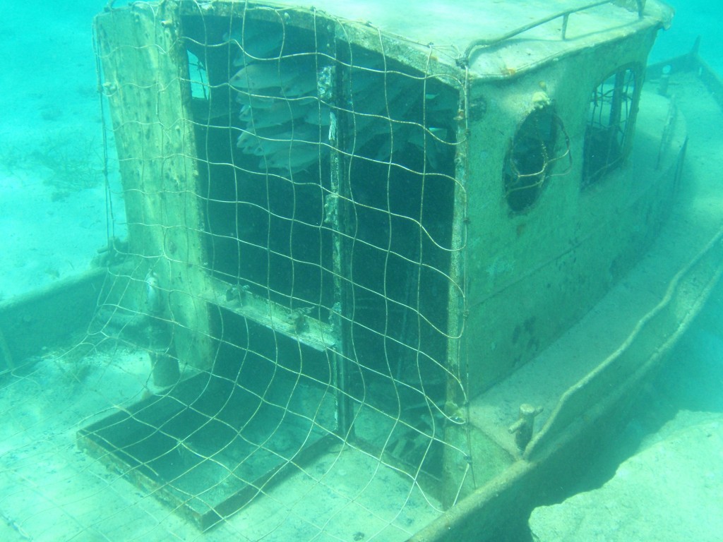 sm_PA307469.JPG