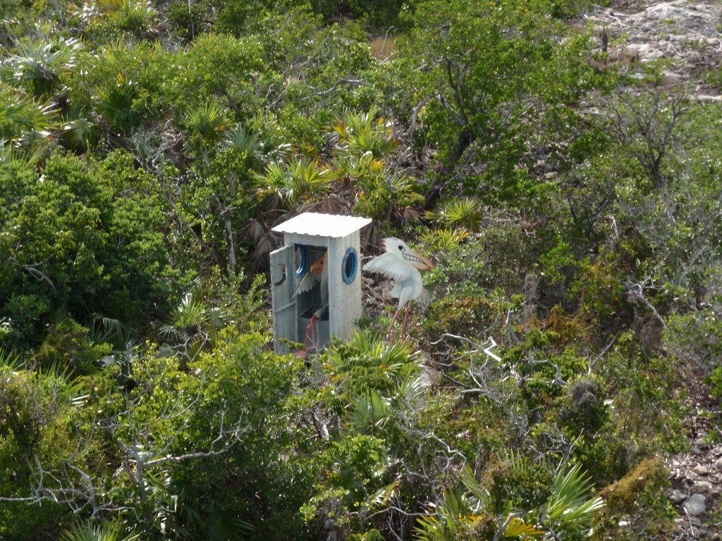 sm_PA307568.JPG