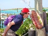 sm_638.JPG