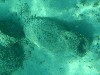 sm_740.JPG