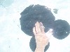 sm_826.JPG