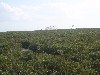 sm_853.JPG