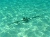 sm_PA307341.JPG