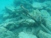 sm_PA307369.JPG