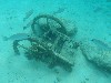 sm_PA307371.JPG