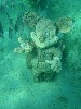 sm_PA307413.JPG