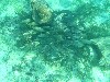 sm_PA307435.JPG