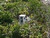 sm_PA307568.JPG
