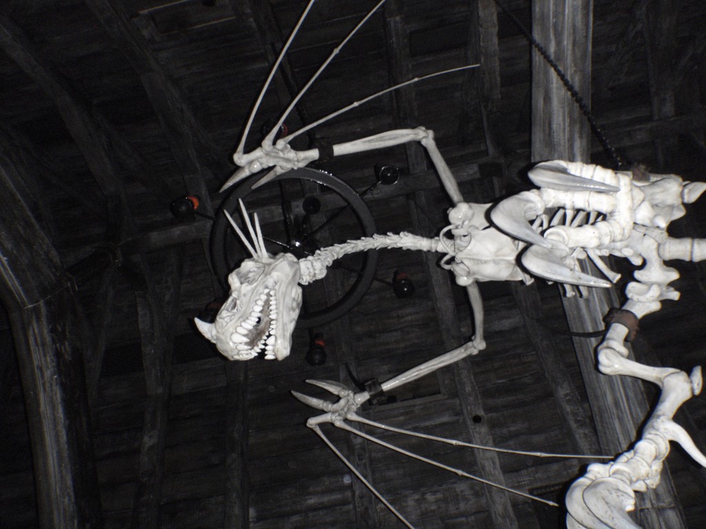 sm_114.JPG