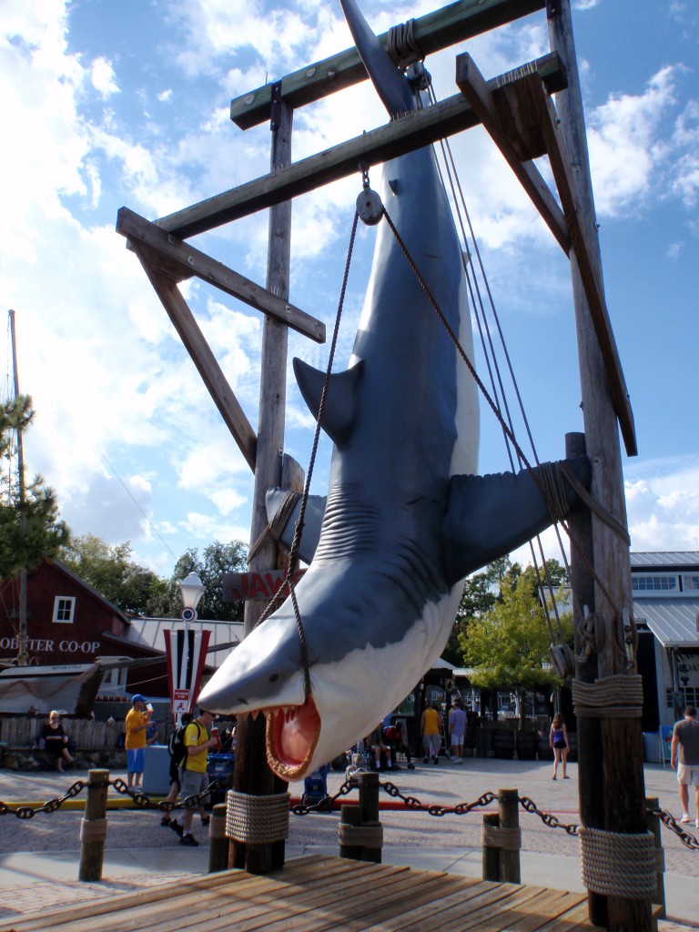 sm_PA256504.JPG