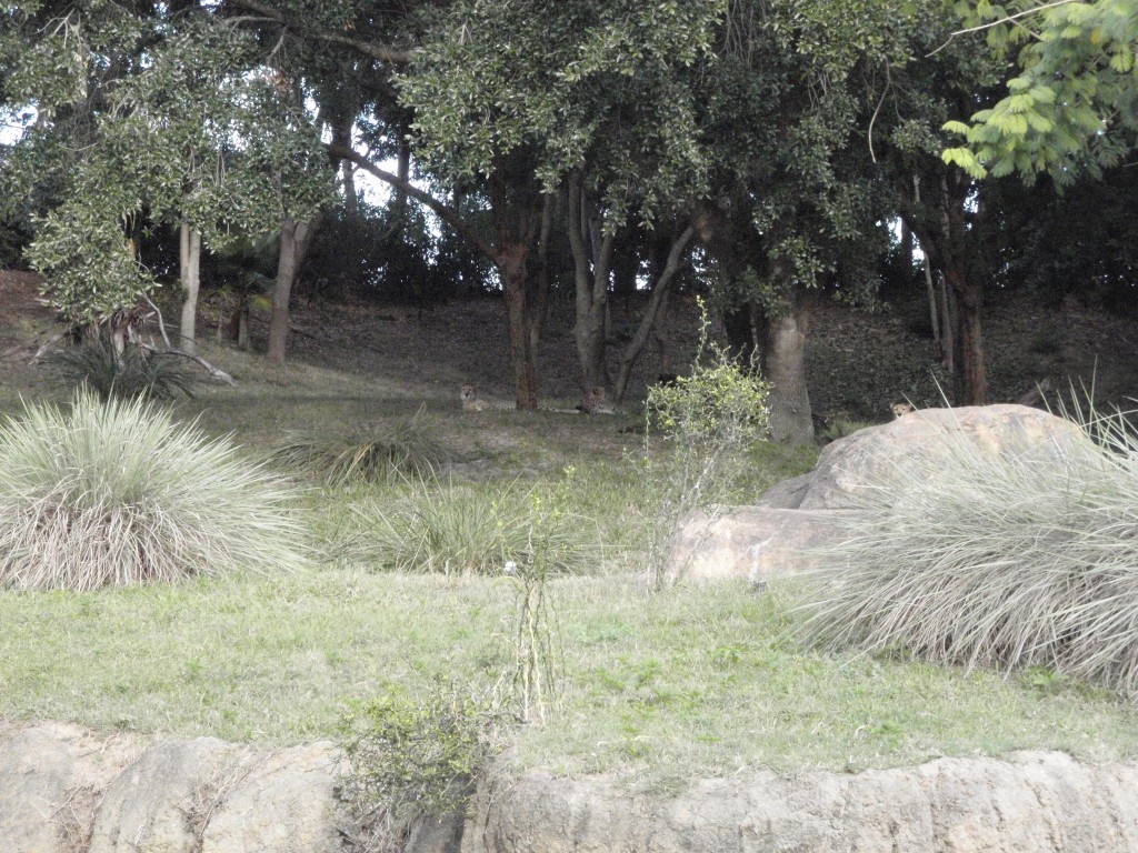 sm_PA266717.JPG