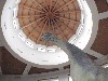 sm_142.JPG