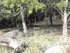 sm_348.JPG