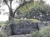 sm_349.JPG