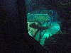 sm_449.JPG