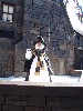 sm_PA246329.JPG