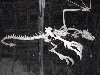 sm_PA246361.JPG
