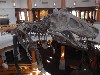 sm_PA246388.JPG