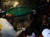 sm_PA246393.JPG