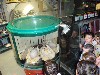 sm_PA246396.JPG