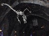 sm_PA256571.JPG