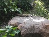 sm_PA266627.JPG