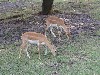 sm_PA266641.JPG