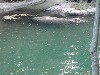 sm_PA266669.JPG