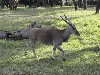sm_PA266685.JPG