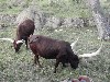 sm_PA266693.JPG