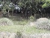 sm_PA266717.JPG