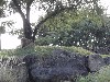 sm_PA266722.JPG
