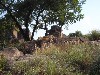 sm_PA266725.JPG