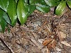 sm_PA266829.JPG