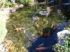 sm_PA276856.JPG