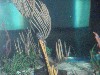 sm_PA276943.JPG
