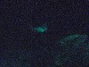 sm_PA276997.JPG