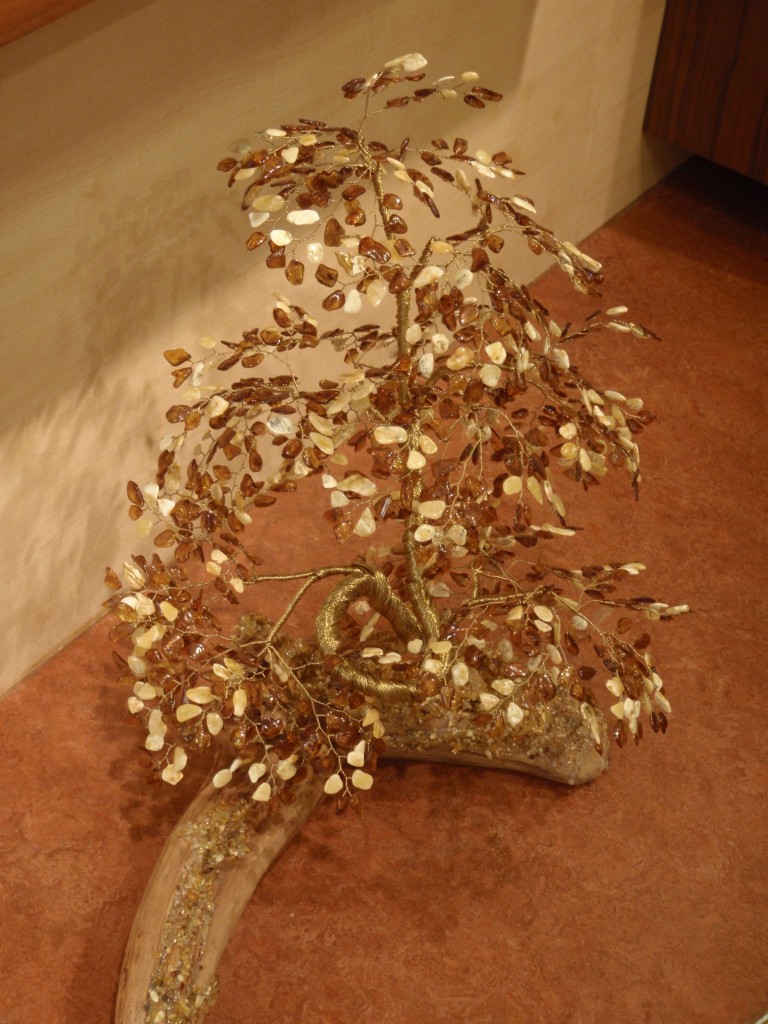 sm_AR_P5237493.JPG