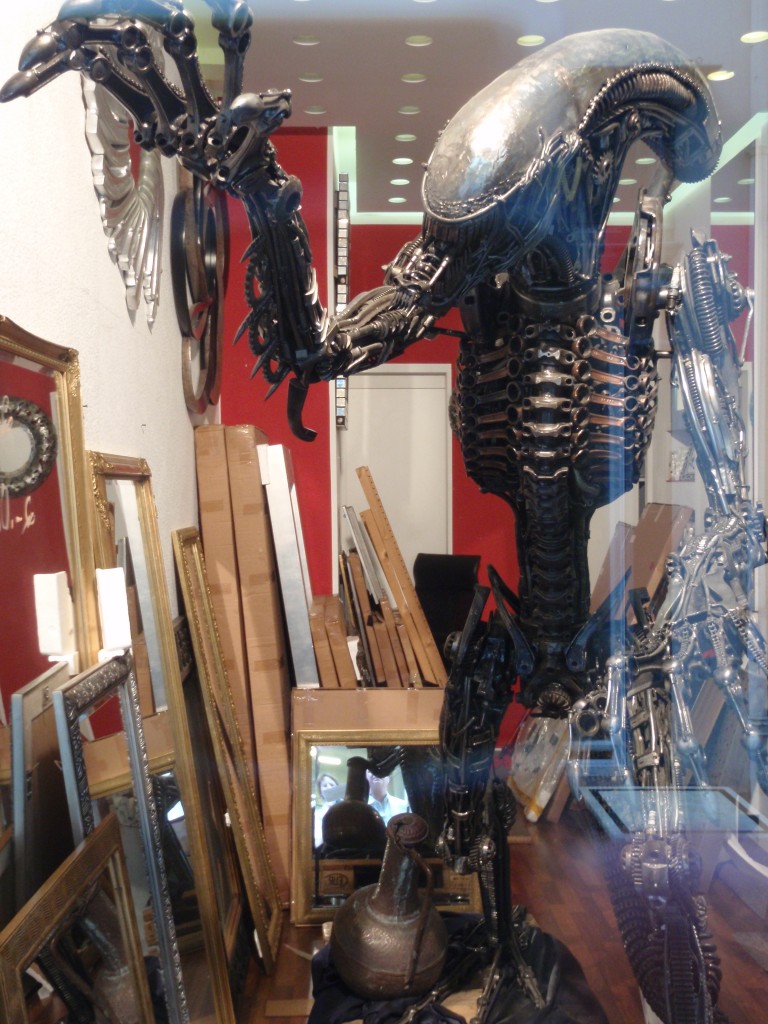 sm_P5228028.JPG