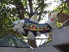 sm_AR_P5217318.JPG