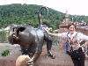 sm_P5228038.JPG