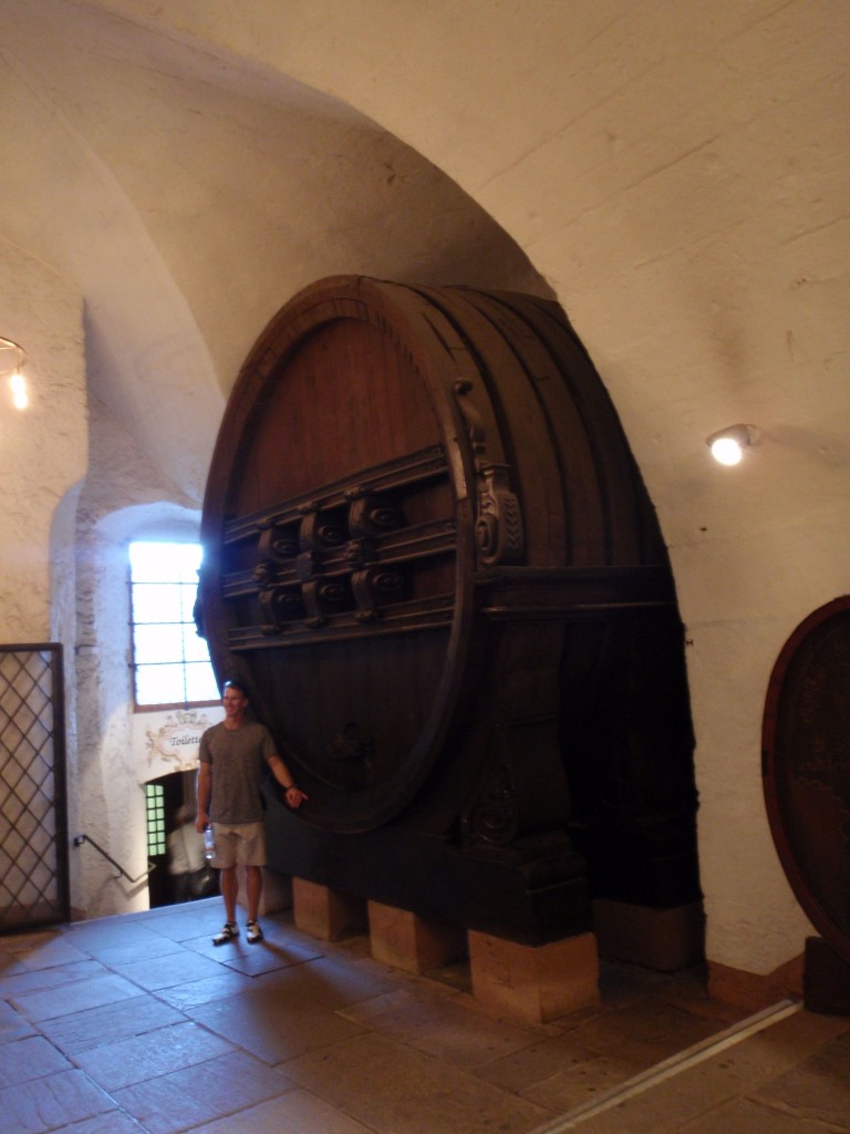 sm_AR_P5247587.JPG