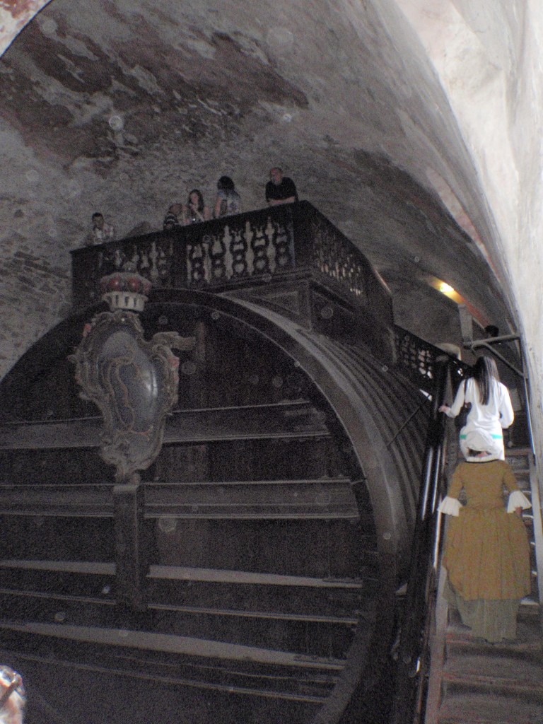 sm_AR_P5247589.JPG