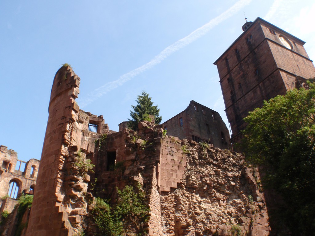 sm_AR_P5247605.JPG