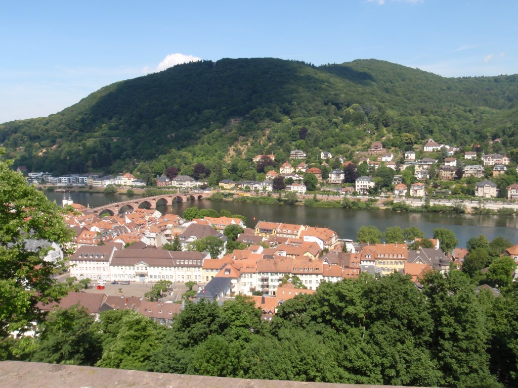 sm_AR_P5247679.JPG