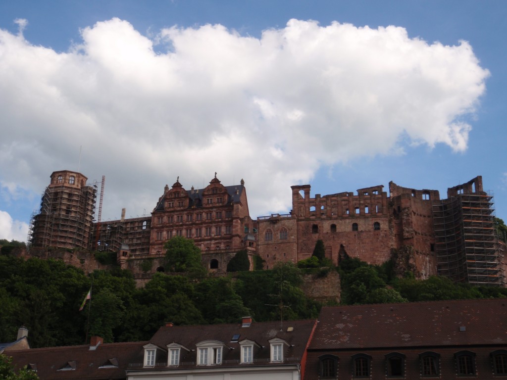 sm_AR_P5247772.JPG