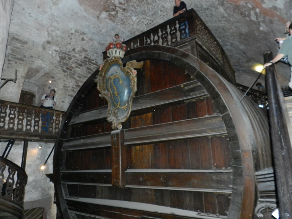 sm_DSCN0177.JPG