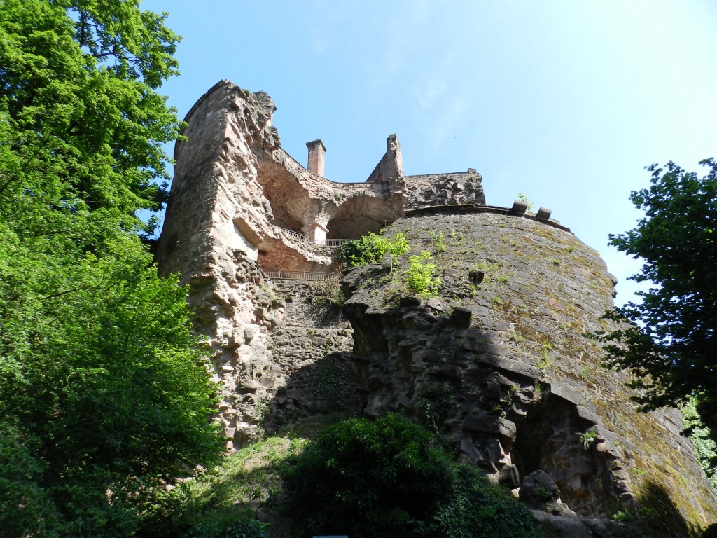 sm_DSCN0226.JPG